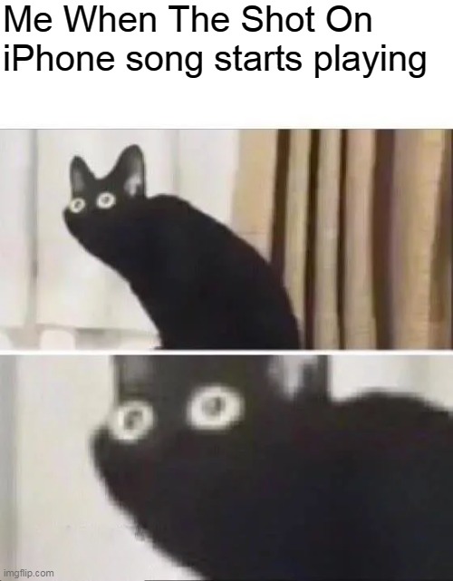 Shot On iPhone Meme | Me When The Shot On iPhone song starts playing | image tagged in oh no black cat | made w/ Imgflip meme maker