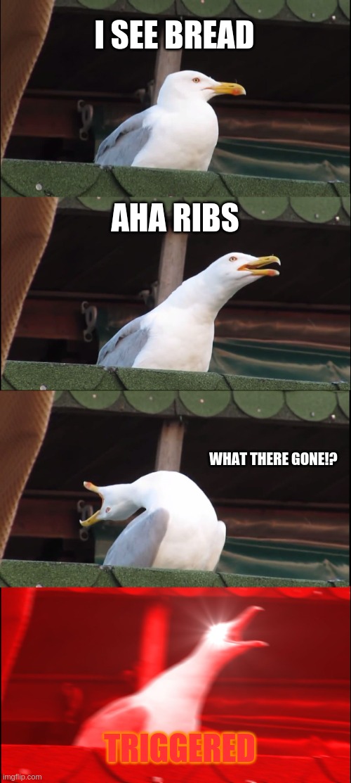 Inhaling Seagull Meme | I SEE BREAD; AHA RIBS; WHAT THERE GONE!? TRIGGERED | image tagged in memes,inhaling seagull | made w/ Imgflip meme maker