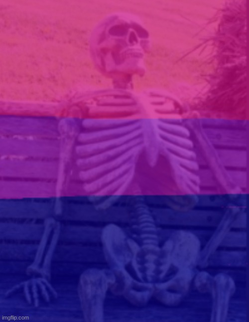 closeted bisexual waiting skeleton | image tagged in closeted bisexual waiting skeleton | made w/ Imgflip meme maker