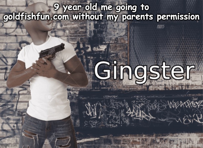 damn thats bad | 9 year old me going to goldfishfun.com without my parents permission | image tagged in gingster | made w/ Imgflip meme maker