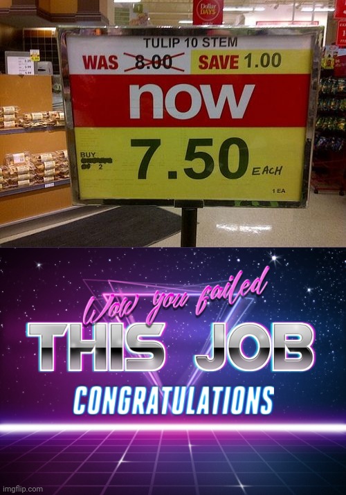 Save 0.50 | image tagged in wow you failed this job,error,you had one job,memes,meme,store | made w/ Imgflip meme maker