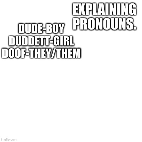 Blank Transparent Square | EXPLAINING PRONOUNS. DUDE-BOY
DUDDETT-GIRL
DOOF-THEY/THEM | image tagged in memes,blank transparent square | made w/ Imgflip meme maker