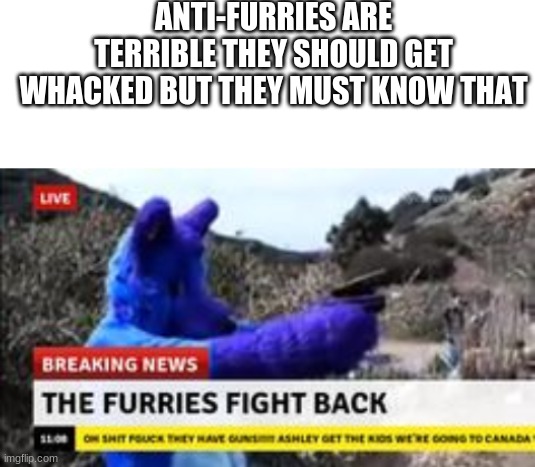 counter:100 | ANTI-FURRIES ARE TERRIBLE THEY SHOULD GET WHACKED BUT THEY MUST KNOW THAT | image tagged in blank white template,furry,memes | made w/ Imgflip meme maker