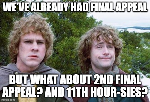 Second Breakfast | WE'VE ALREADY HAD FINAL APPEAL; BUT WHAT ABOUT 2ND FINAL APPEAL? AND 11TH HOUR-SIES? | image tagged in second breakfast | made w/ Imgflip meme maker