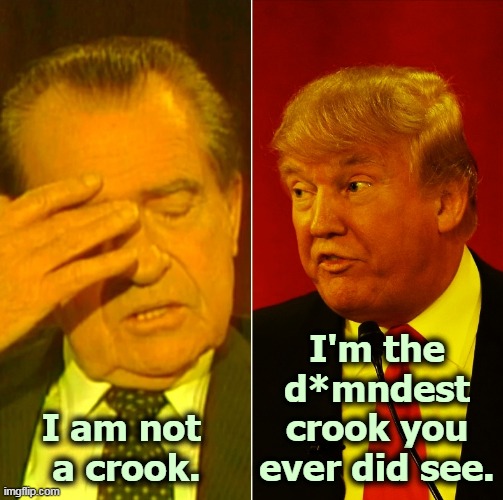 Republican ethics and morals on parade. | I'm the d*mndest crook you ever did see. I am not 
a crook. | image tagged in two republican crooks - nixon and trump,nixon,trump,gop,republican,crook | made w/ Imgflip meme maker