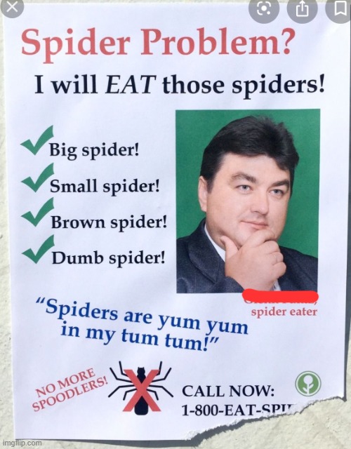 I eat spiders | image tagged in i eat spiders | made w/ Imgflip meme maker