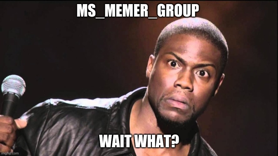 Wait What? | MS_MEMER_GROUP; WAIT WHAT? | image tagged in wait what | made w/ Imgflip meme maker