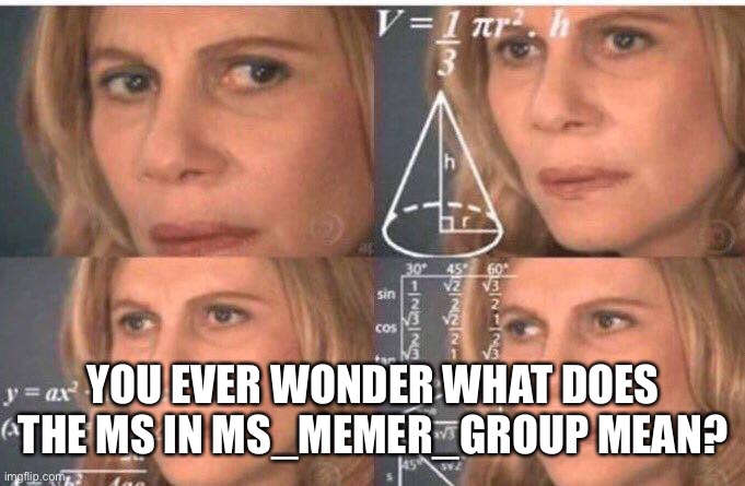 Math lady/Confused lady | YOU EVER WONDER WHAT DOES THE MS IN MS_MEMER_GROUP MEAN? | image tagged in math lady/confused lady | made w/ Imgflip meme maker