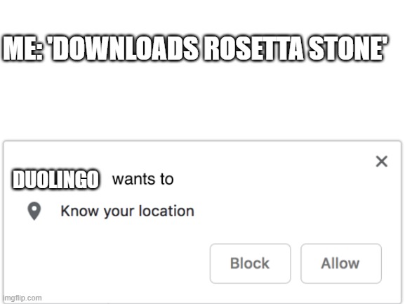 You can't hide from duolingo | ME: 'DOWNLOADS ROSETTA STONE'; DUOLINGO | image tagged in duolingo,spanish,funny,memes,wants to know your location,rosetta stone | made w/ Imgflip meme maker