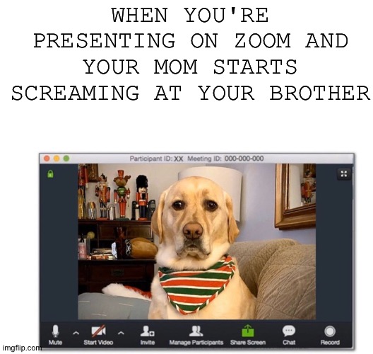 True so true | WHEN YOU'RE PRESENTING ON ZOOM AND YOUR MOM STARTS SCREAMING AT YOUR BROTHER | made w/ Imgflip meme maker