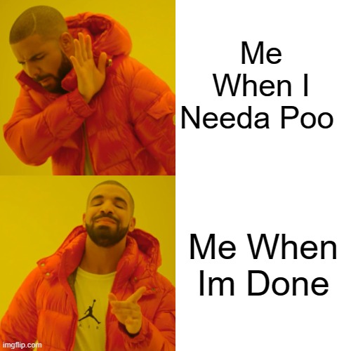 me when Im pooing me when im done | Me When I Needa Poo; Me When Im Done | image tagged in memes,drake hotline bling | made w/ Imgflip meme maker
