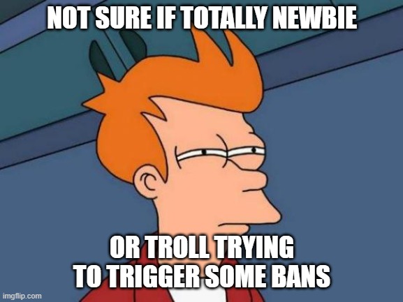 Futurama Fry Meme | NOT SURE IF TOTALLY NEWBIE; OR TROLL TRYING TO TRIGGER SOME BANS | image tagged in memes,futurama fry | made w/ Imgflip meme maker