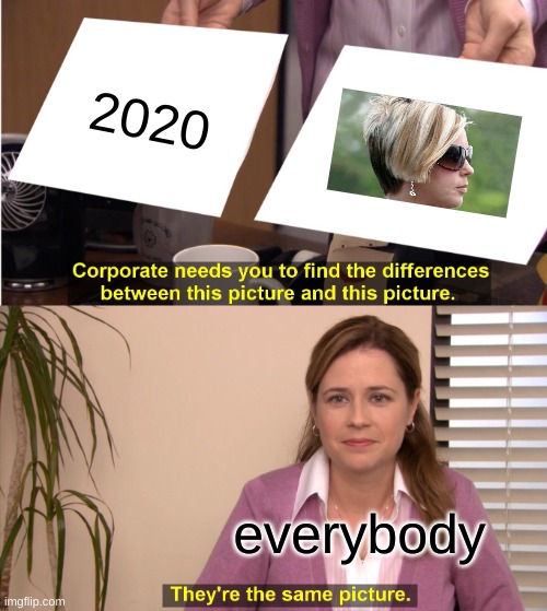 They're The Same Picture | 2020; everybody | image tagged in memes,they're the same picture | made w/ Imgflip meme maker
