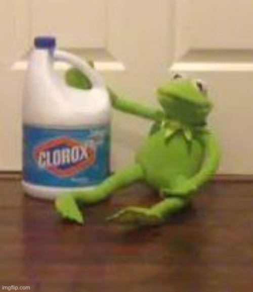 kermit bleach | image tagged in kermit bleach | made w/ Imgflip meme maker