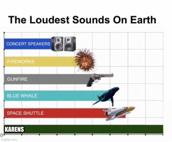 The Loudest Sounds on Earth | KARENS | image tagged in the loudest sounds on earth | made w/ Imgflip meme maker
