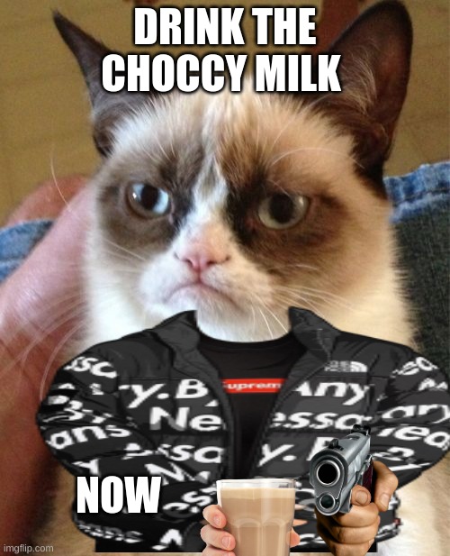 angry cat says drink | DRINK THE CHOCCY MILK; NOW | image tagged in choccy milk,angry cat | made w/ Imgflip meme maker
