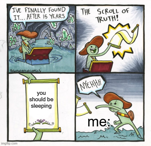 The Scroll Of Truth Meme | you should be sleeping; me: | image tagged in memes,the scroll of truth | made w/ Imgflip meme maker