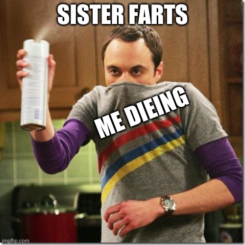 air freshener sheldon cooper | SISTER FARTS; ME DIEING | image tagged in air freshener sheldon cooper | made w/ Imgflip meme maker