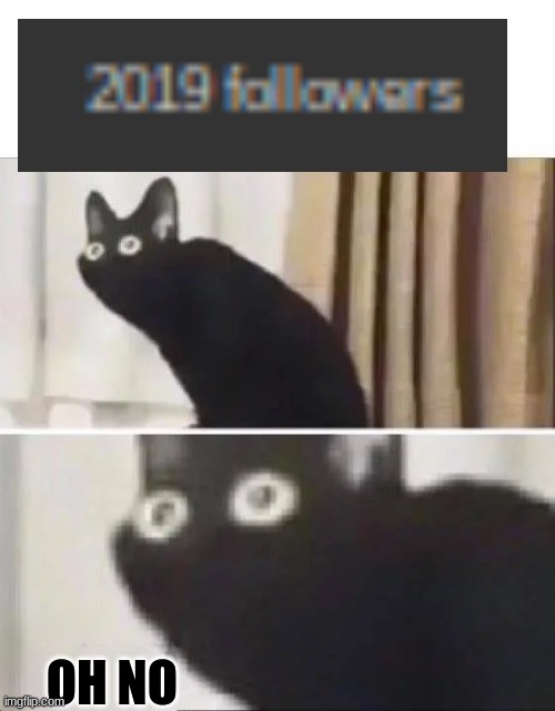 Nearly at 2020 followers | OH NO | image tagged in oh no black cat | made w/ Imgflip meme maker