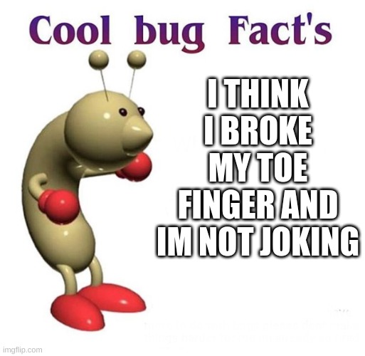 Cool Bug Facts | I THINK I BROKE MY TOE FINGER AND IM NOT JOKING | image tagged in cool bug facts,meme,funny memes,cool memes,never gonna give you up,rick rolled | made w/ Imgflip meme maker