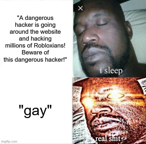 roblox no like gay people >:O | "A dangerous hacker is going around the website and hacking millions of Robloxians! Beware of this dangerous hacker!"; "gay" | image tagged in memes,sleeping shaq | made w/ Imgflip meme maker