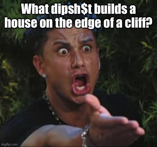 DJ Pauly D Meme | What dipsh$t builds a house on the edge of a cliff? | image tagged in memes,dj pauly d | made w/ Imgflip meme maker