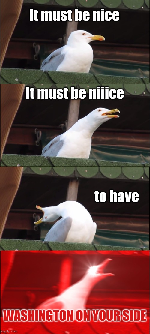 It was originally HERCULES MULLIGAN | It must be nice; It must be niiice; to have; WASHINGTON ON YOUR SIDE | image tagged in memes,inhaling seagull | made w/ Imgflip meme maker