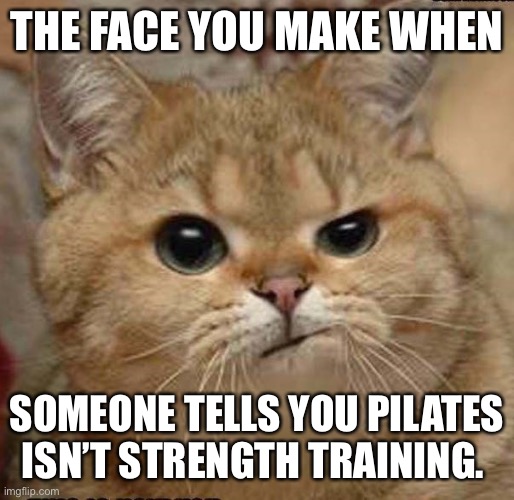 The Face You Make When | THE FACE YOU MAKE WHEN; SOMEONE TELLS YOU PILATES ISN’T STRENGTH TRAINING. | image tagged in fitness | made w/ Imgflip meme maker