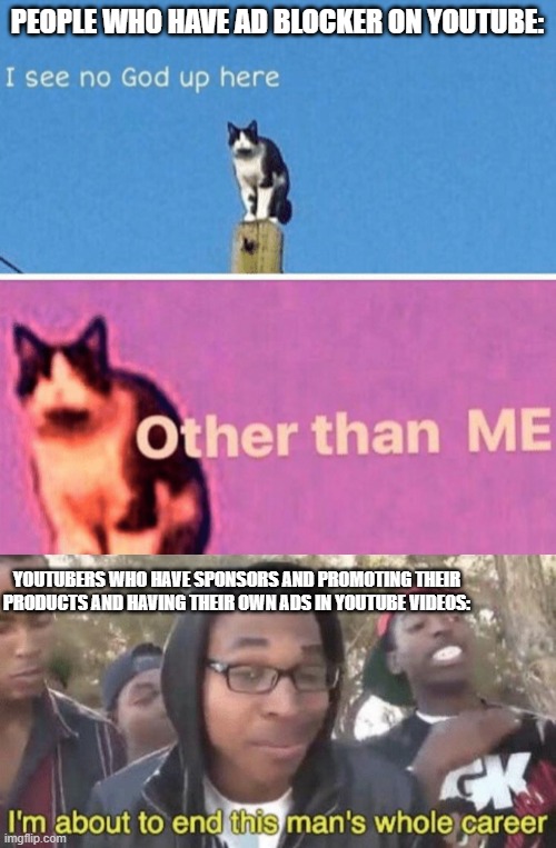 PEOPLE WHO HAVE AD BLOCKER ON YOUTUBE:; YOUTUBERS WHO HAVE SPONSORS AND PROMOTING THEIR PRODUCTS AND HAVING THEIR OWN ADS IN YOUTUBE VIDEOS: | image tagged in hail pole cat,i m about to end this man s whole career | made w/ Imgflip meme maker