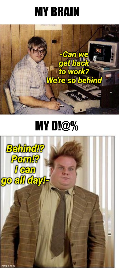 MY BRAIN MY D!@% -Can we get back to work? We're so behind Behind!? Porn!? I can go all day!- | image tagged in computer nerd,chris farley hair | made w/ Imgflip meme maker