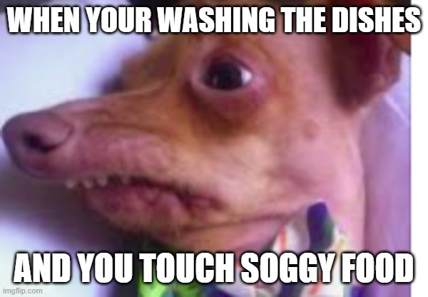 Why... | WHEN YOUR WASHING THE DISHES; AND YOU TOUCH SOGGY FOOD | image tagged in funny memes | made w/ Imgflip meme maker
