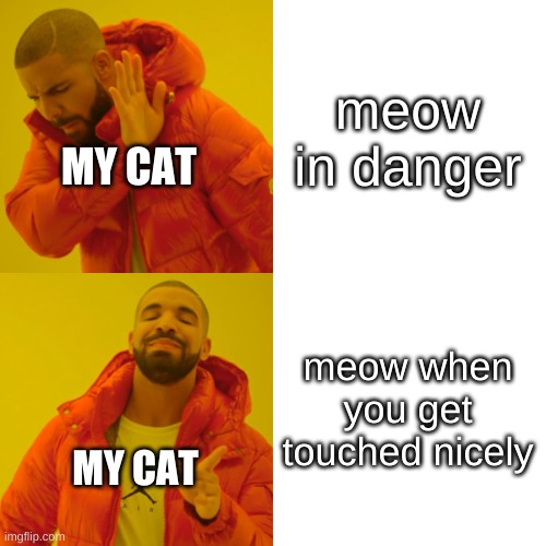 Drake Hotline Bling | meow in danger; MY CAT; meow when you get touched nicely; MY CAT | image tagged in memes,drake hotline bling | made w/ Imgflip meme maker
