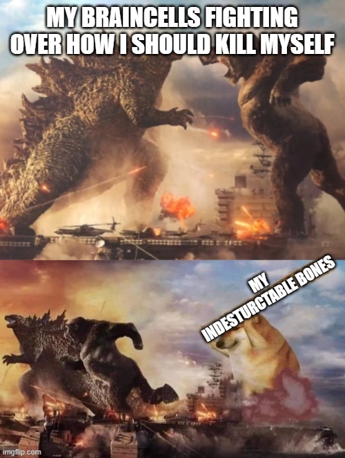 Godzilla and King vs Doge | MY BRAINCELLS FIGHTING OVER HOW I SHOULD KILL MYSELF MY INDESTURCTABLE BONES | image tagged in godzilla and king vs doge | made w/ Imgflip meme maker