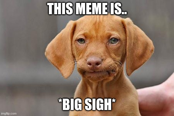 Dissapointed puppy | THIS MEME IS.. *BIG SIGH* | image tagged in dissapointed puppy,oh wow are you actually reading these tags,that would be great | made w/ Imgflip meme maker