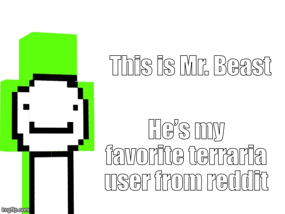 This is Mr. Beast. | This is Mr. Beast; He’s my favorite terraria user from reddit | image tagged in blank white template,dream,mr beast | made w/ Imgflip meme maker