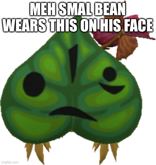 MEH SMAL BEAN WEARS THIS ON HIS FACE | made w/ Imgflip meme maker