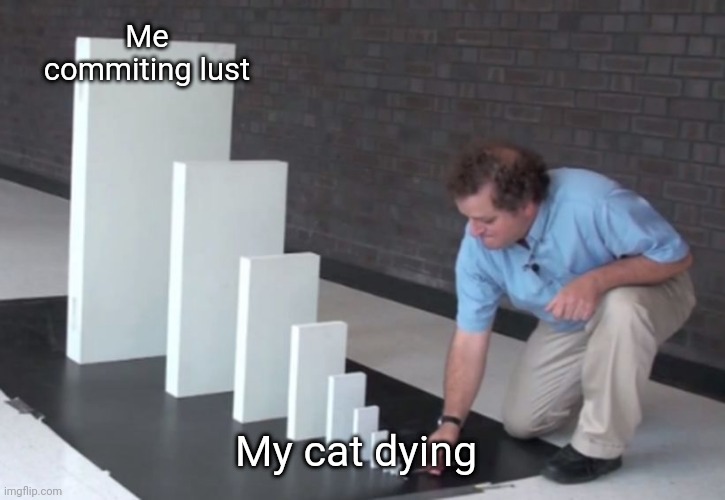 Domino Effect | Me commiting lust; My cat dying | image tagged in domino effect | made w/ Imgflip meme maker