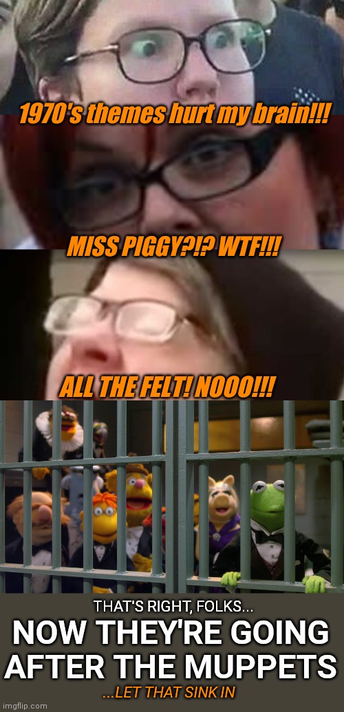 Now they are going after the Muppets... | 1970's themes hurt my brain!!! MISS PIGGY?!? WTF!!! ALL THE FELT! NOOO!!! THAT'S RIGHT, FOLKS... NOW THEY'RE GOING
AFTER THE MUPPETS; ...LET THAT SINK IN | image tagged in angry sjw,libtards,stupid liberals,disney,muppets,cancel culture | made w/ Imgflip meme maker