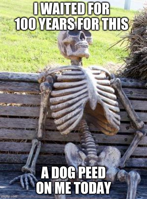 Waiting Skeleton | I WAITED FOR 100 YEARS FOR THIS; A DOG PEED ON ME TODAY | image tagged in memes,waiting skeleton | made w/ Imgflip meme maker