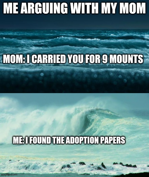 ME ARGUING WITH MY MOM; MOM: I CARRIED YOU FOR 9 MOUNTS; ME: I FOUND THE ADOPTION PAPERS | image tagged in ocean waves | made w/ Imgflip meme maker