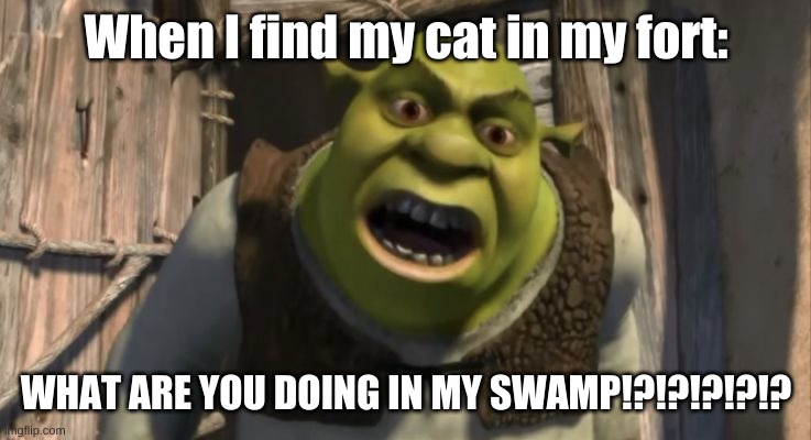 Shrek What are you doing in my swamp? | When I find my cat in my fort:; WHAT ARE YOU DOING IN MY SWAMP!?!?!?!?!? | image tagged in shrek what are you doing in my swamp,cats | made w/ Imgflip meme maker