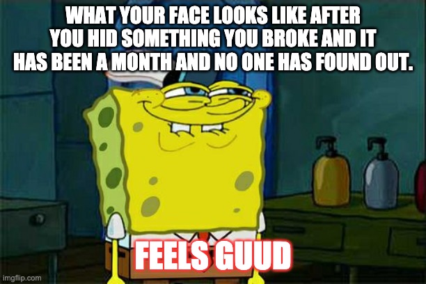 Don't You Squidward | WHAT YOUR FACE LOOKS LIKE AFTER YOU HID SOMETHING YOU BROKE AND IT HAS BEEN A MONTH AND NO ONE HAS FOUND OUT. FEELS GUUD | image tagged in memes,don't you squidward | made w/ Imgflip meme maker