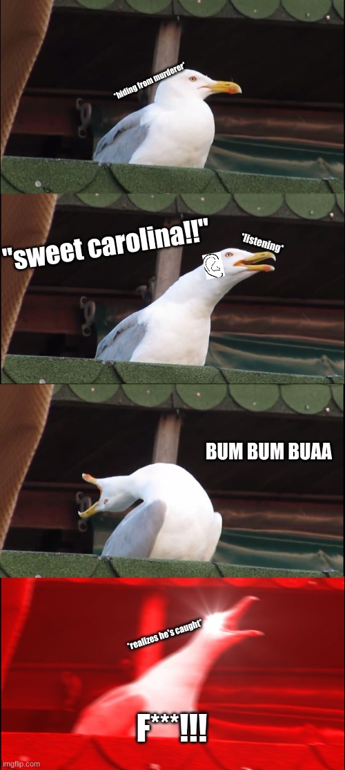 Can't resist | *hiding from murderer*; "sweet carolina!!"; *listening*; BUM BUM BUAA; *realizes he's caught*; F***!!! | image tagged in memes,inhaling seagull | made w/ Imgflip meme maker