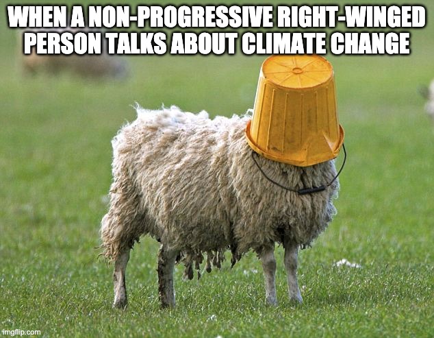 stupid sheep | WHEN A NON-PROGRESSIVE RIGHT-WINGED PERSON TALKS ABOUT CLIMATE CHANGE | image tagged in stupid sheep | made w/ Imgflip meme maker