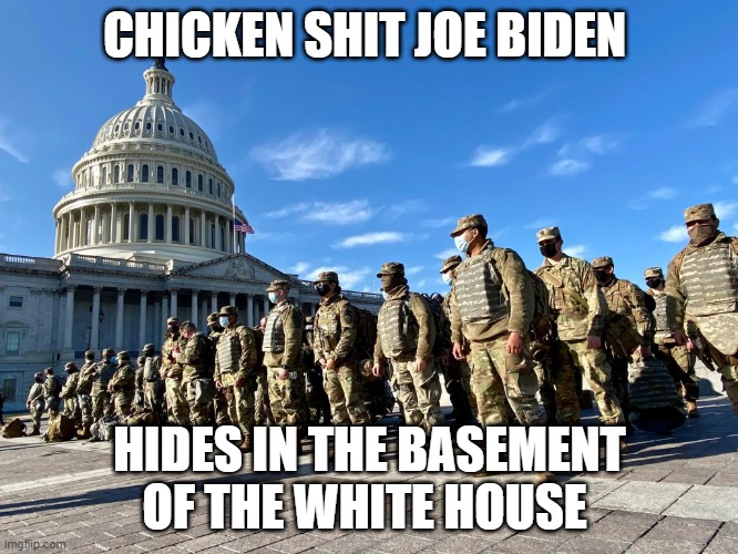 National Guard at US Capital | CHICKEN SHIT JOE BIDEN; HIDES IN THE BASEMENT OF THE WHITE HOUSE | image tagged in national guard at us capital | made w/ Imgflip meme maker