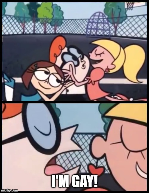 Dexter's Gay | I'M GAY! | image tagged in memes,say it again dexter,dexters lab,gay | made w/ Imgflip meme maker