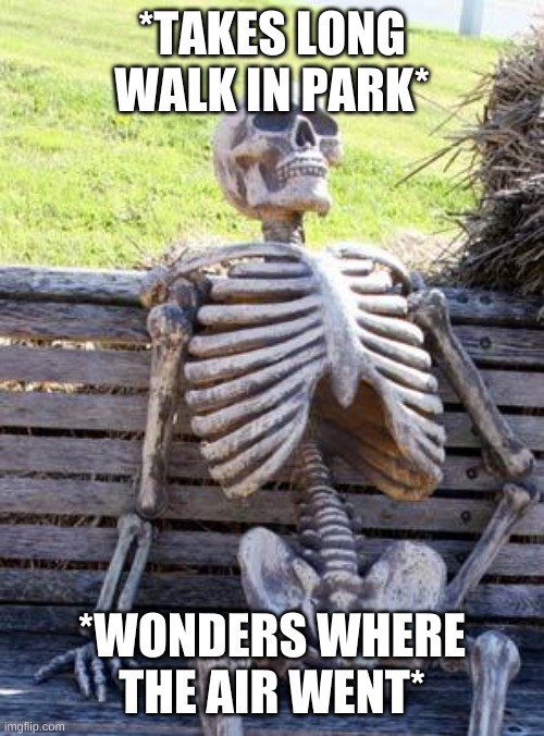 Waiting Skeleton Meme | *TAKES LONG WALK IN PARK*; *WONDERS WHERE THE AIR WENT* | image tagged in memes,waiting skeleton | made w/ Imgflip meme maker