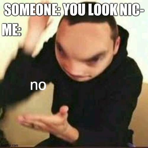no | ME:; SOMEONE: YOU LOOK NIC- | image tagged in no | made w/ Imgflip meme maker