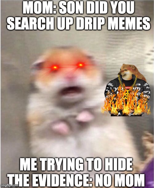Scared Hamster | MOM: SON DID YOU SEARCH UP DRIP MEMES; ME TRYING TO HIDE THE EVIDENCE: NO MOM | image tagged in scared hamster | made w/ Imgflip meme maker