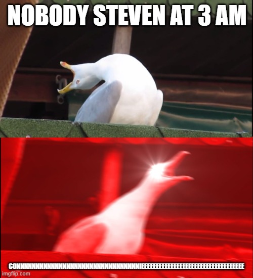 Screaming bird | NOBODY STEVEN AT 3 AM; CONNNNNNNNNNNNNNNNNNNNNNNNNNNNNNNNIEEEEEEEEEEEEEEEEEEEEEEEEEEEEEEEEEEE | image tagged in screaming bird | made w/ Imgflip meme maker
